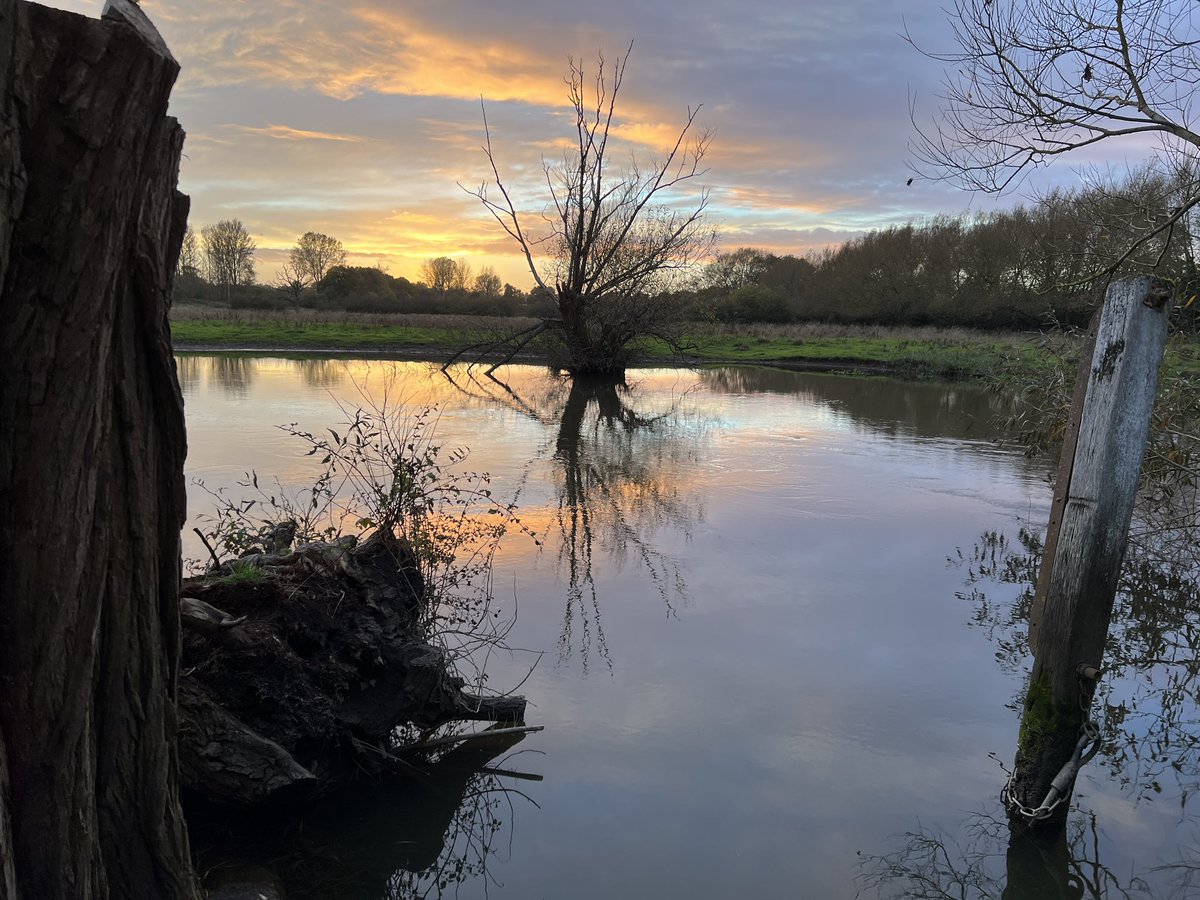 theabingdontaxi's tweet photo. Wednesday night at The Village Pub: the old wooden post embedded in the River Cherwell, which used to hold the wire on which you pulled yourself across has succumbed.
You can see an historical photo of Victor and his dog operating the #Marston ferry here https://t.co/f1ACepNPIc https://t.co/jMfGGwX0hd