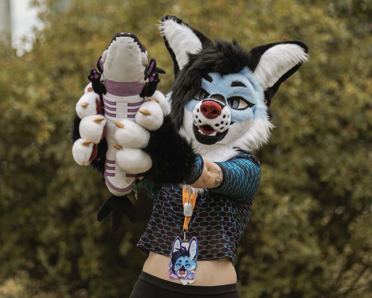 Look, caught a new friend 🦎!!

#FursuitEverday