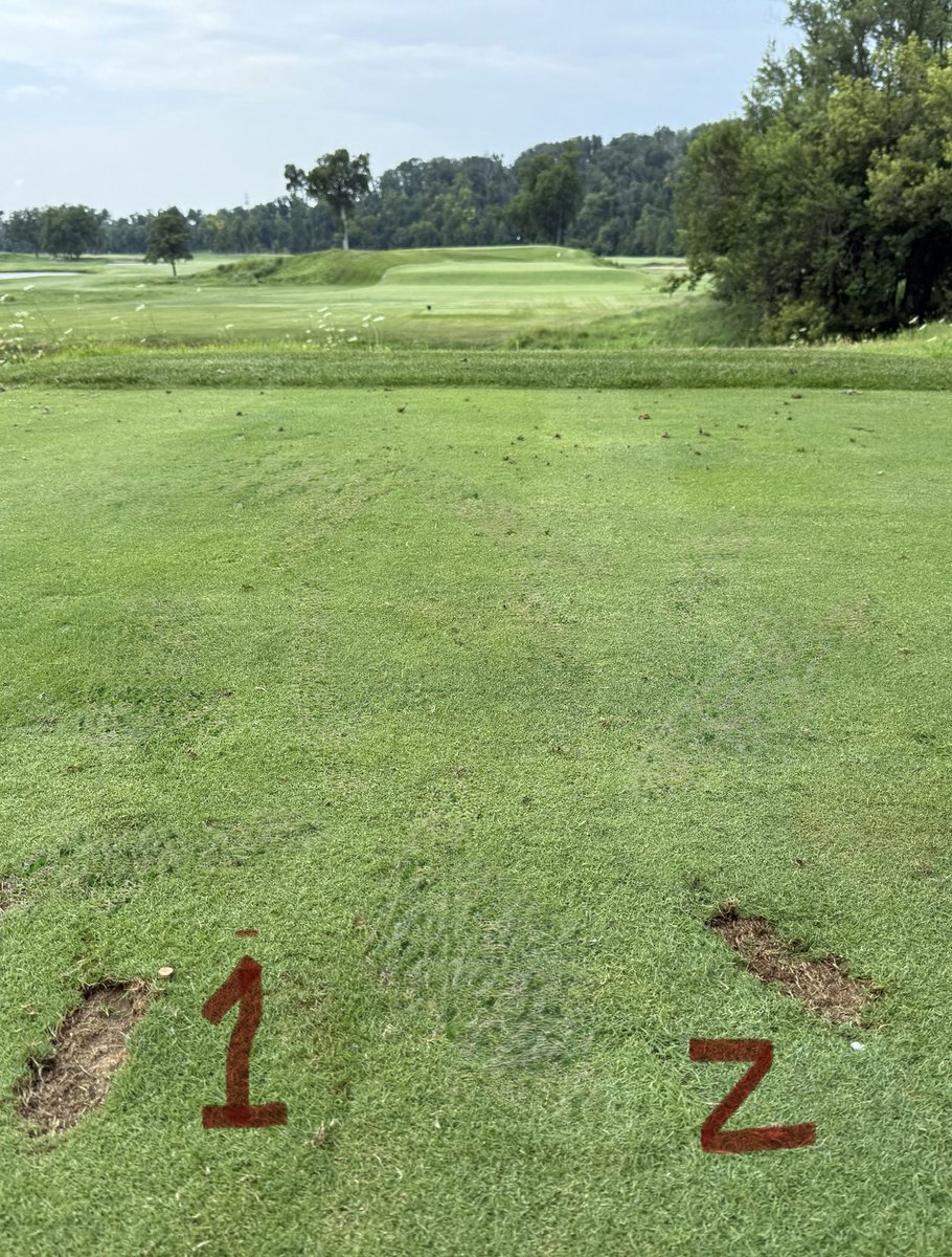 Alright…190 yards down fan.  

Either of these hit the green….or better yet….get off the tee?