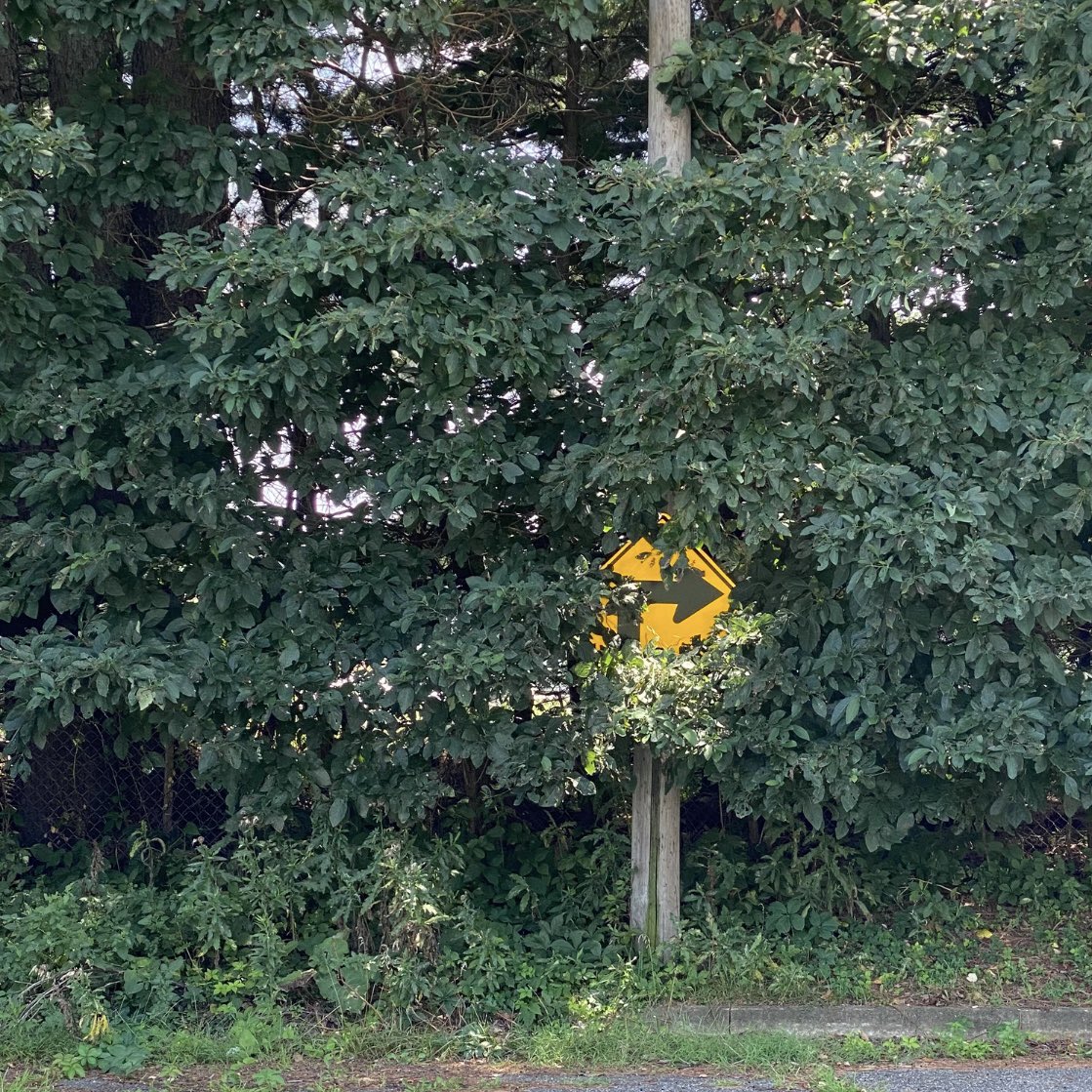 Tim Nisly tweet media