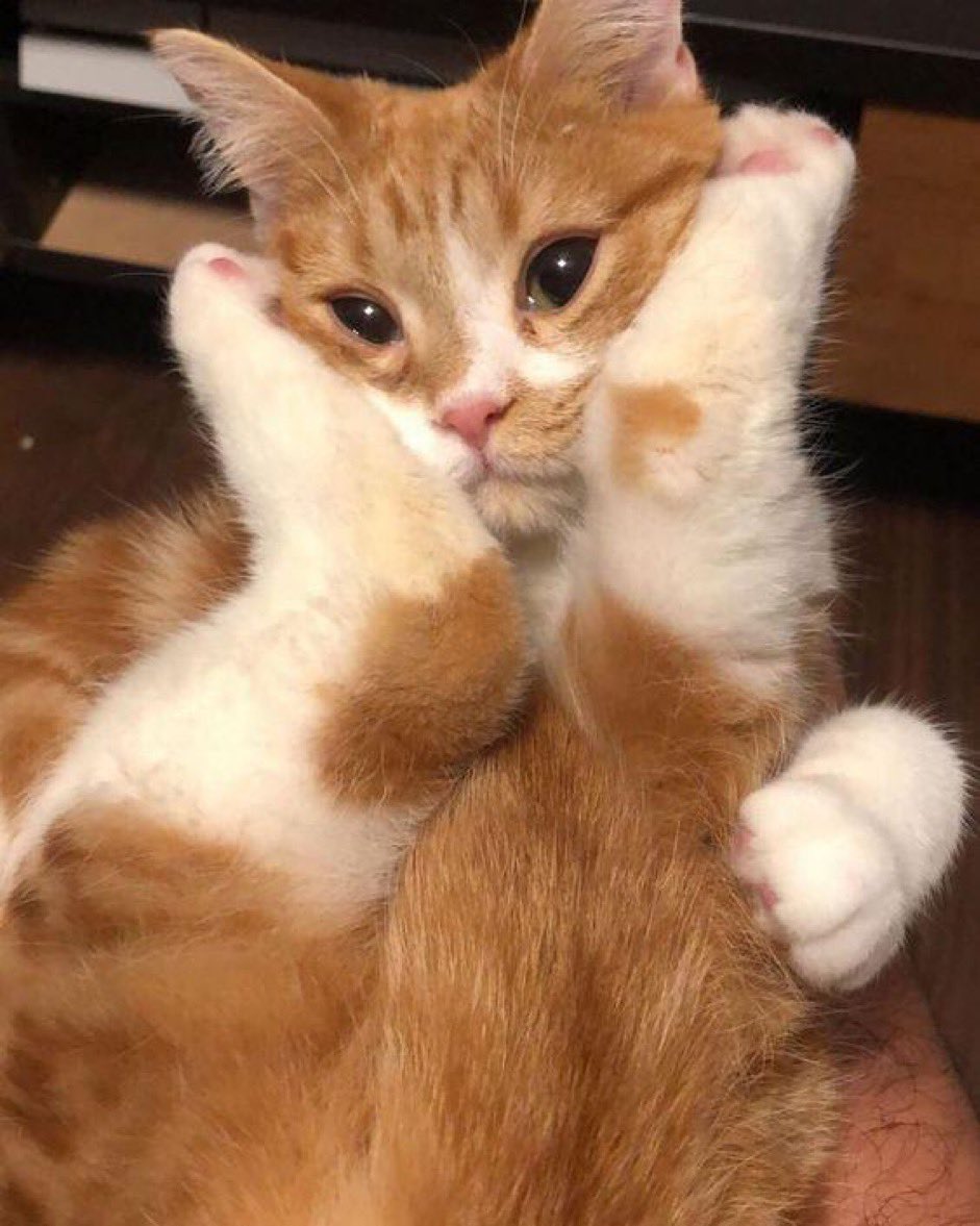 ليه ما ترفق علي💔🥺