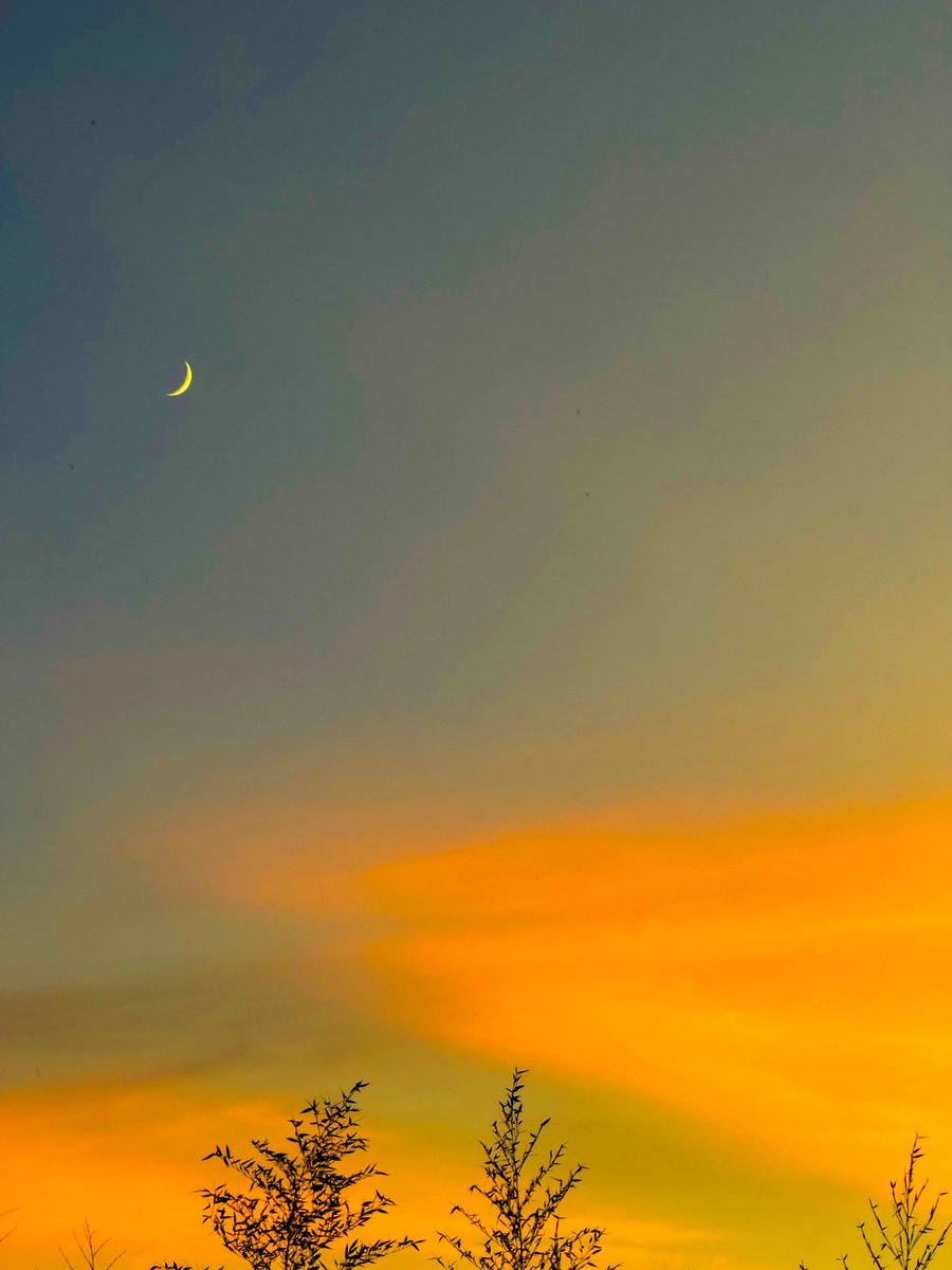 三日月 - Search / X