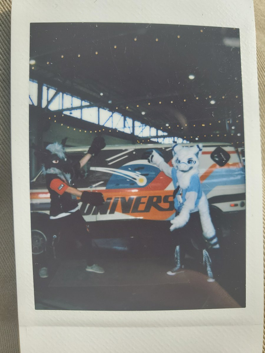 I always love the look of fursuits in Polaroid pictures!

<a href="/UltraTheDragon/">Ultra</a> 

#FursuitEverday