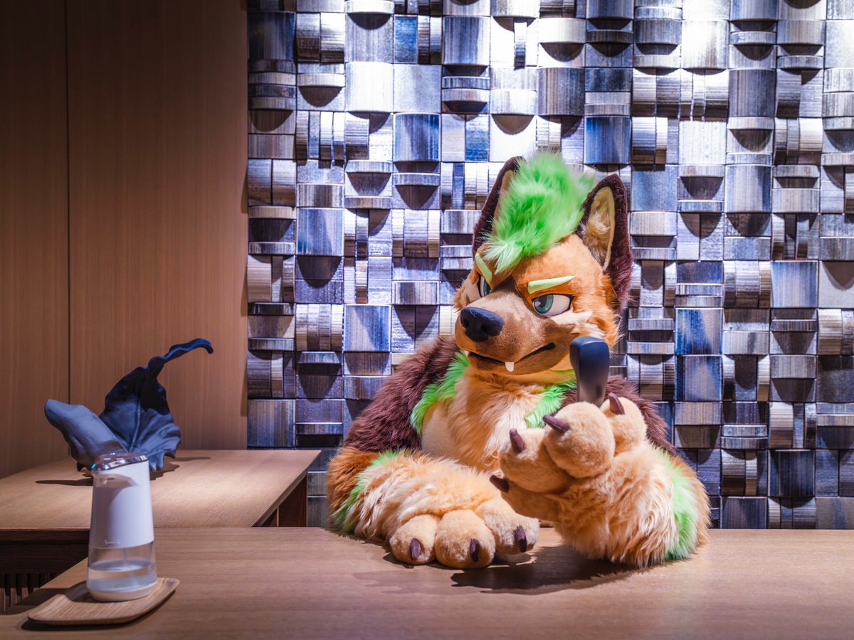Sequoia 🌲 (@sequoiashep) on Twitter photo Jumping on the photographer appreciation train! 📸
Big shout-out to <a href="/ChatahSpots/">ミーゴー💢🔜AFC🇺🇲,SK🇰🇷,獸無限🇹🇼,ケモコン🇯🇵</a> / <a href="/YukitoTheFox/">❄️Yukito❄️</a> / <a href="/RixHusky/">Rix</a> / <a href="/zenithfolf/">Zeni 🔜 AC, AFC, 🇯🇵</a>! They are some of the most talented and hard-working photographers I know, and have all been huge influences in my own photography journey! Jumping on the photographer appreciation train! 📸
Big shout-out to <a href="/ChatahSpots/">ミーゴー💢🔜AFC🇺🇲,SK🇰🇷,獸無限🇹🇼,ケモコン🇯🇵</a> / <a href="/YukitoTheFox/">❄️Yukito❄️</a> / <a href="/RixHusky/">Rix</a> / <a href="/zenithfolf/">Zeni 🔜 AC, AFC, 🇯🇵</a>! They are some of the most talented and hard-working photographers I know, and have all been huge influences in my own photography journey!