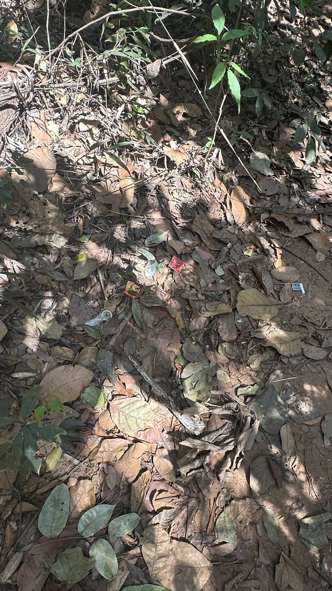 Segundona dando o nome na trilha em Lucas do Rio Verde! 😏🥵🥵

#putariagay #pegacao #trilha #cruising #exibicionismo