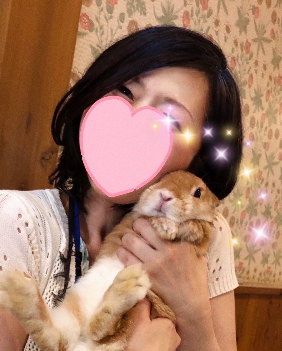 ココア🐰うさ垢*ツンデレうさぎ* (@cocousa_12) / Posts / X