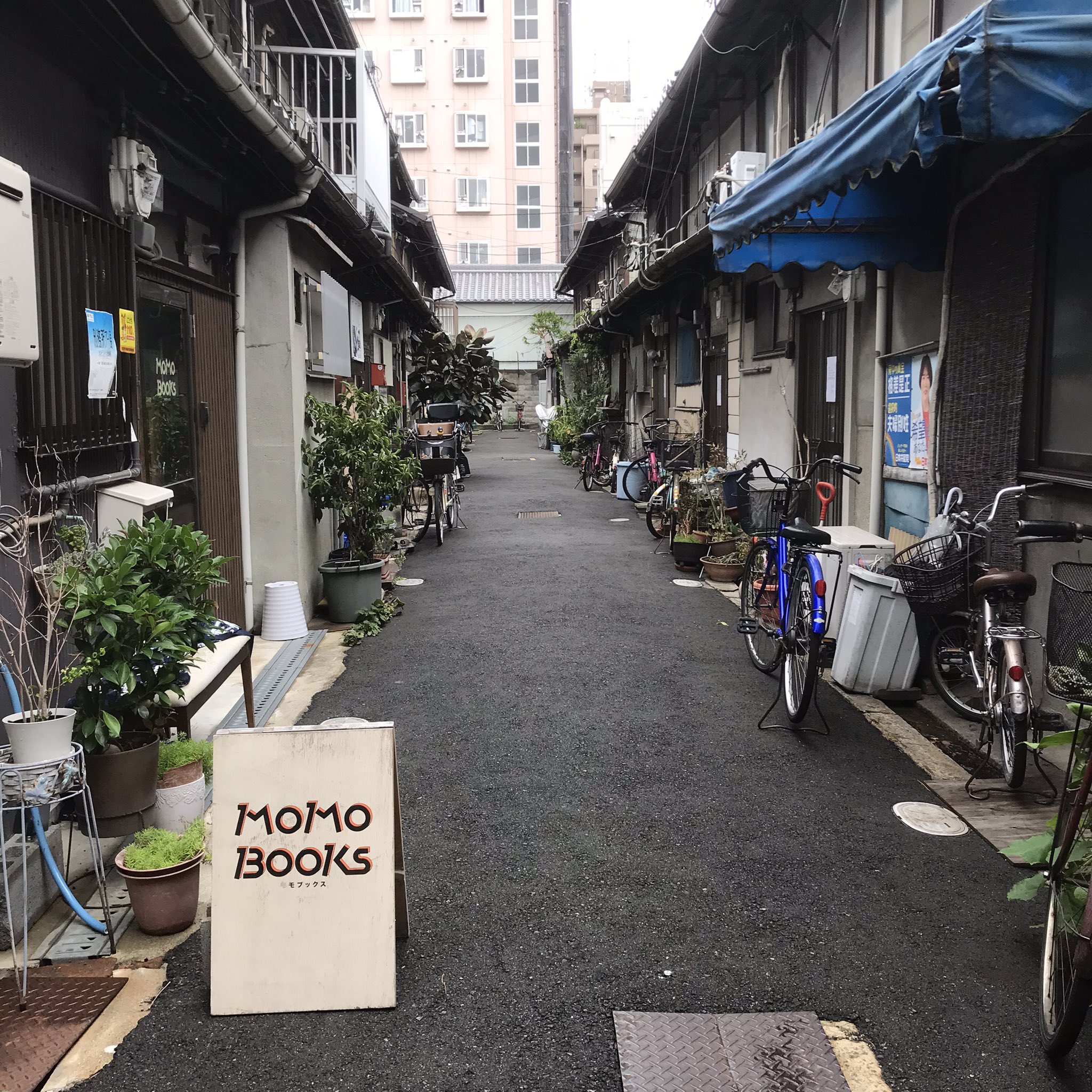 MoMoBooks-モモブックス- on X: 