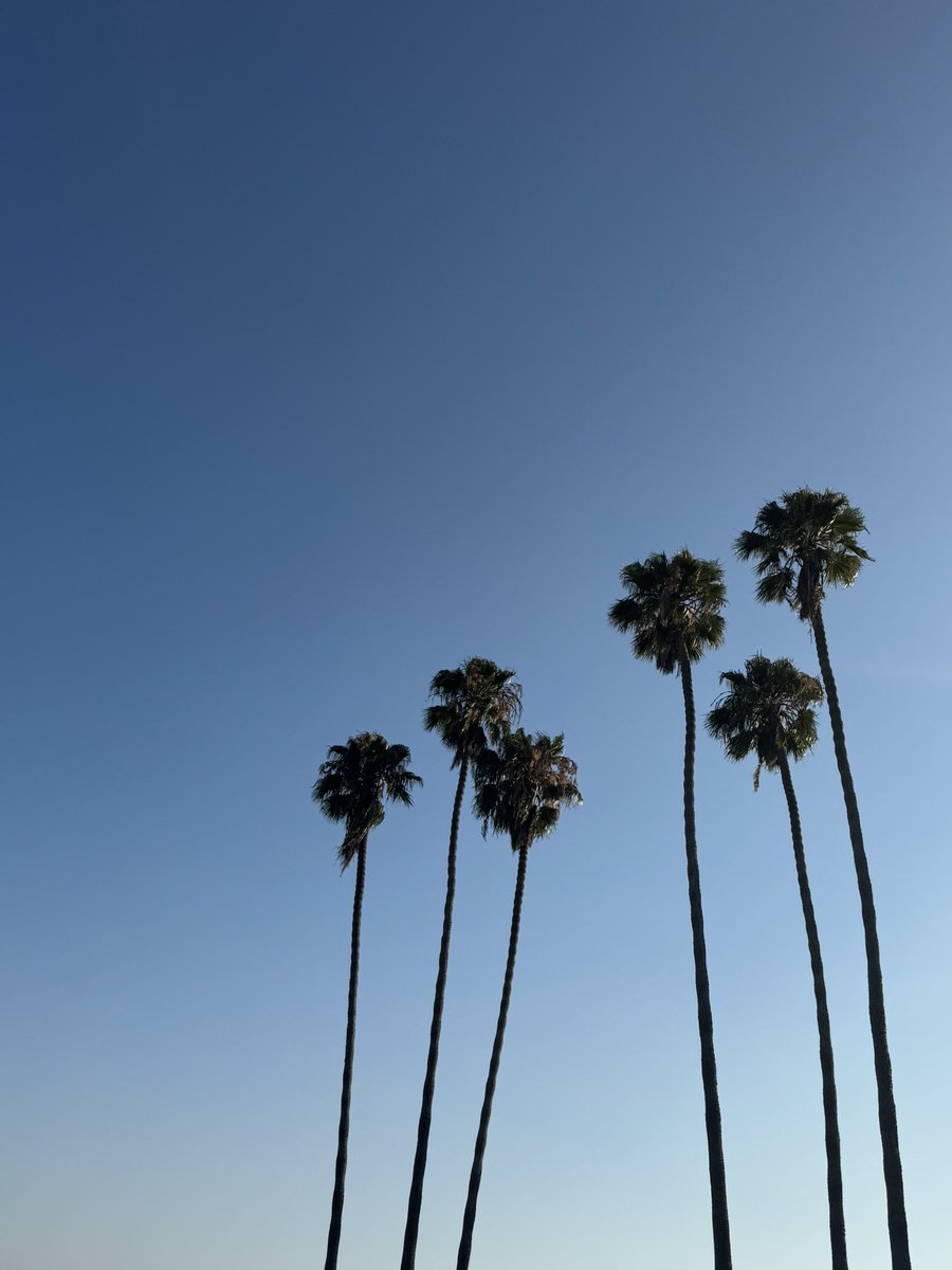 emily_tweets's tweet image. 😘