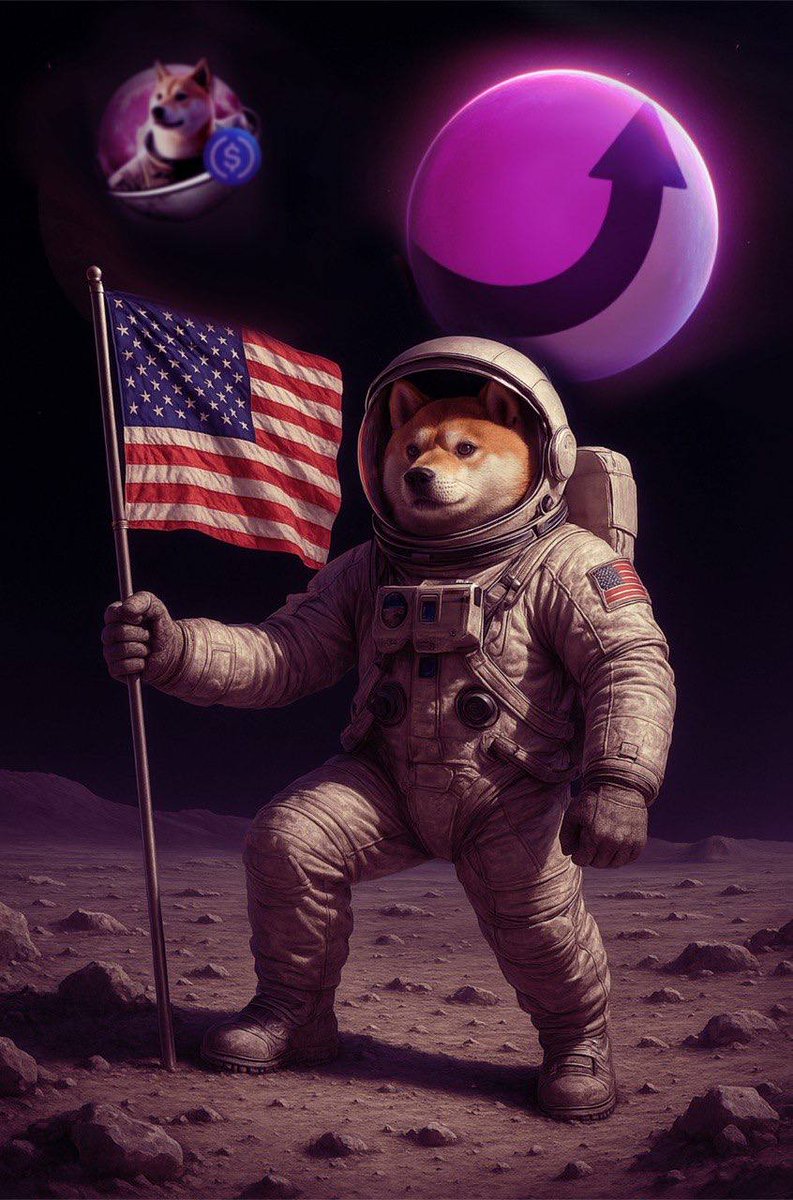 One doge. One Moon. One shot. 🌙
#MOONDOGE