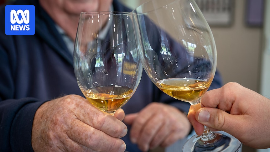 HumanisingMen's tweet image. Hopes for a brandy comeback as Coonawarra produces first branded batch abc.net.au/news/2025-08-0… #brandy #Coonawarra #majellawines