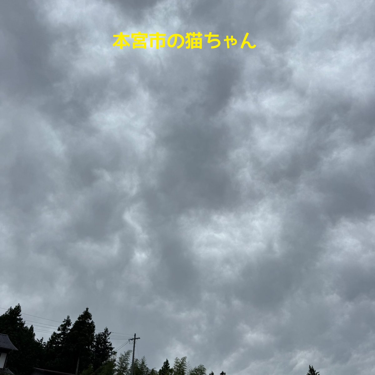 福島ペット火葬 一縁(いちえん)|福島市・二本松・伊達・郡山 (@petkasou_ichien) on Twitter photo 本宮市の猫ちゃんのお見送りへお伺いしました。
綺麗な目と毛色をしたサラサラ長毛の猫ちゃん、優しいご家族様に大切に育てていただいて、幸せいっぱいの毎日を過ごされたことと思います。
ご冥福をお祈りいたします。
 #ペット火葬本宮市
 #ペット訪問火葬福島
 #ペット葬儀
 #ペット供養 本宮市の猫ちゃんのお見送りへお伺いしました。
綺麗な目と毛色をしたサラサラ長毛の猫ちゃん、優しいご家族様に大切に育てていただいて、幸せいっぱいの毎日を過ごされたことと思います。
ご冥福をお祈りいたします。
 #ペット火葬本宮市
 #ペット訪問火葬福島
 #ペット葬儀
 #ペット供養