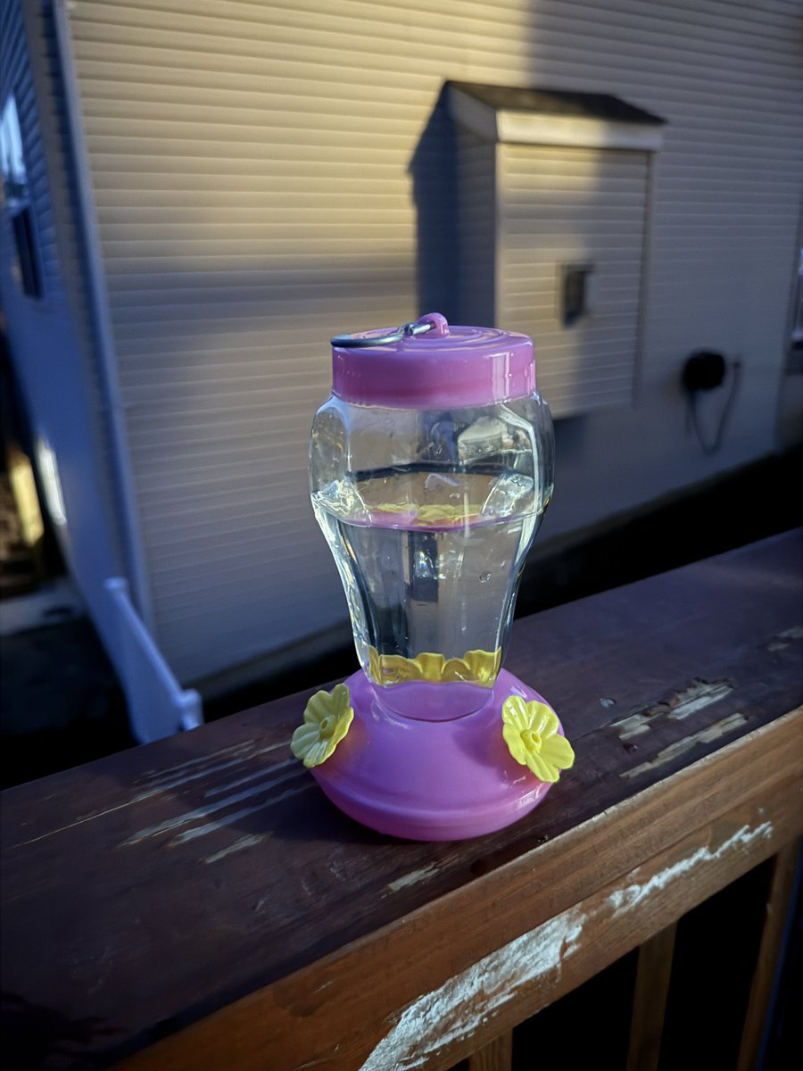 Ойрд их халуун байна.
Бяцхан шувуунууд их ангадаг гэсэн