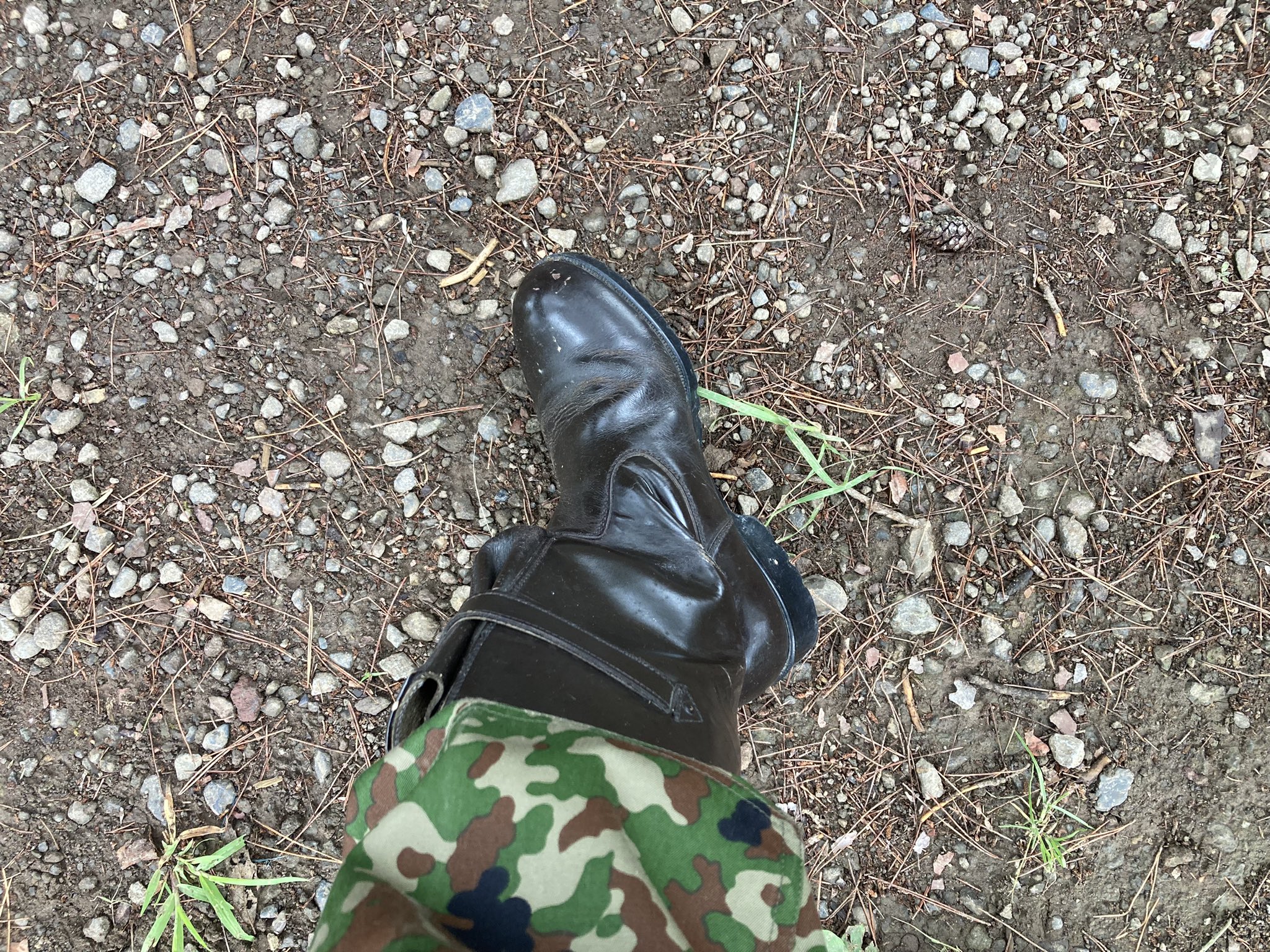 扶桑陸軍憲兵少尉 扶桑陸軍憲兵少尉❇️🍸🎀🐶🥀🥚@長野県自衛官募集相談員 on X