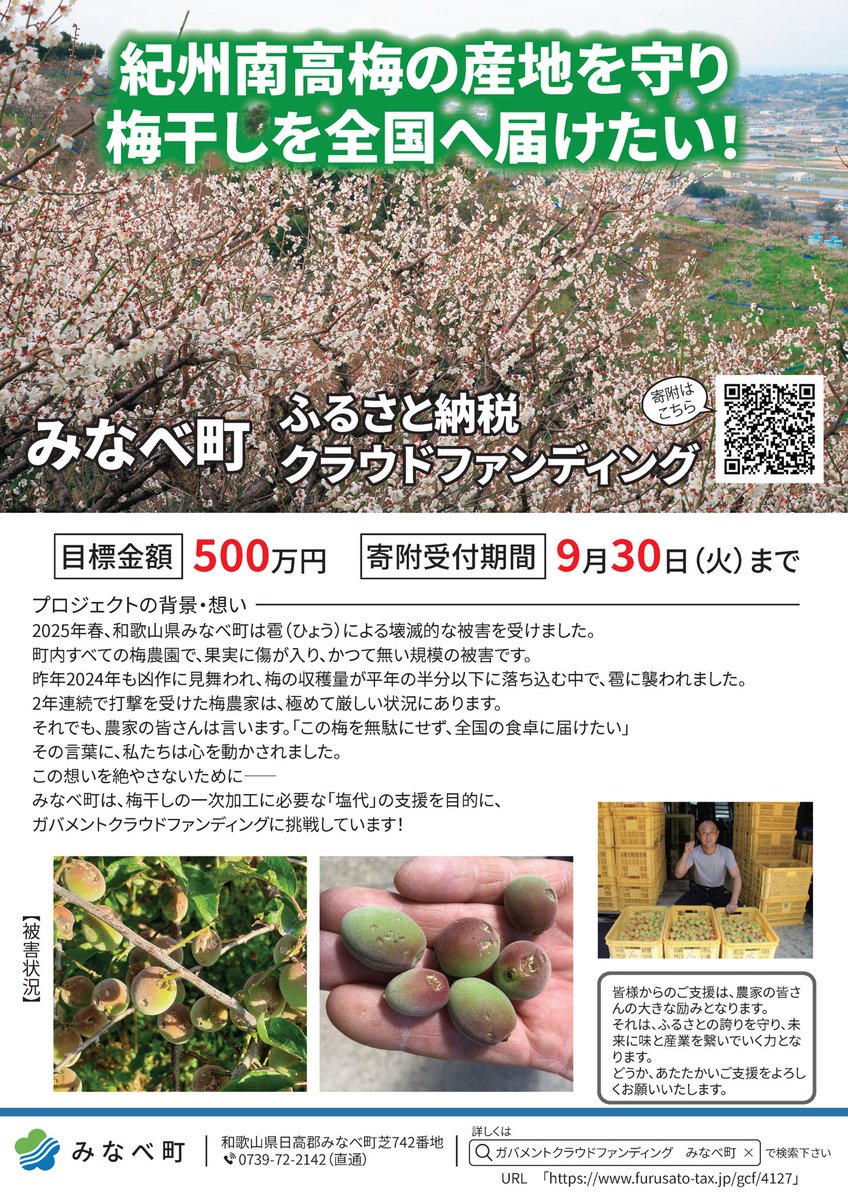 Minabe_Town's tweet photo. 【ひょう被害支援 GCF実施中！】
みなべ町では、春のひょう被害で大きな打撃を受けた梅農家さんを支援するための「ガバメントクラウドファンディング（GCF）を実施中です。

詳しくはこちら→ https://t.co/h57Hhc6wzx

#みなべ町 #和歌山県 #ガバメントクラウドファンディング https://t.co/kZ9Mf4K22O