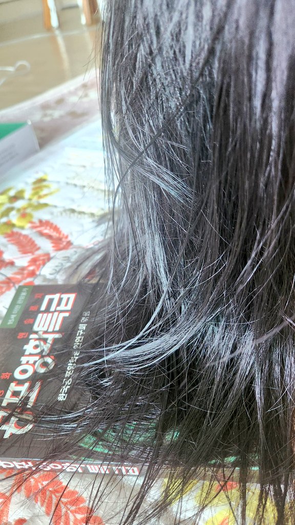 사이버망령 tweet media