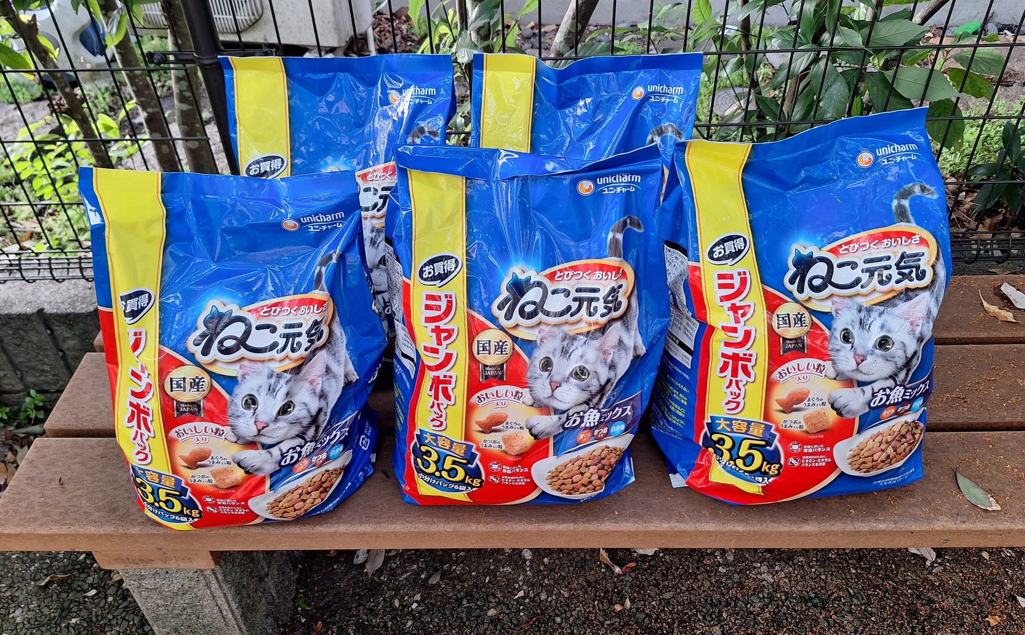 龍脈の精髄 ―宮崎産 水晶クラスター 「聖域を生む調和の結晶」【保護猫活動支援】 龍脈の精髄 ― クラスター 「聖域を生む結晶の調和」 宮崎県産 保護猫