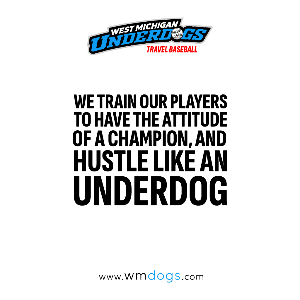 We are West Michigan Underdogs Travel Baseball.

wmdogs.com