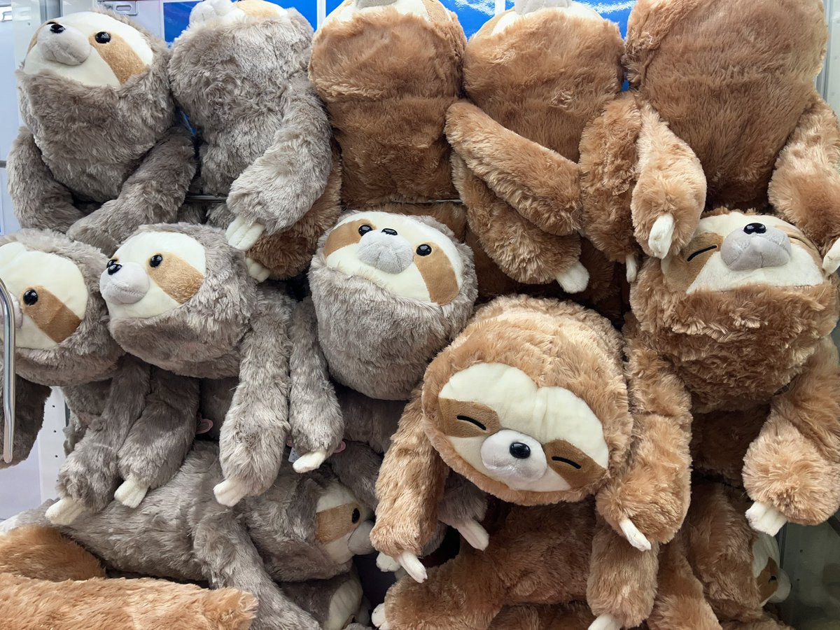 くったりナマケモノとろんちょウルトラBIG