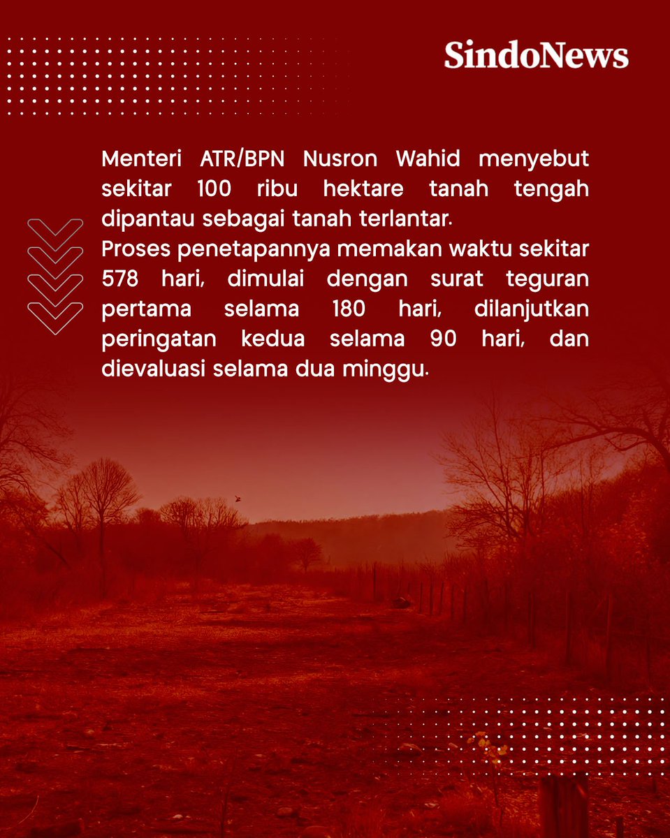 SINDOnews tweet media