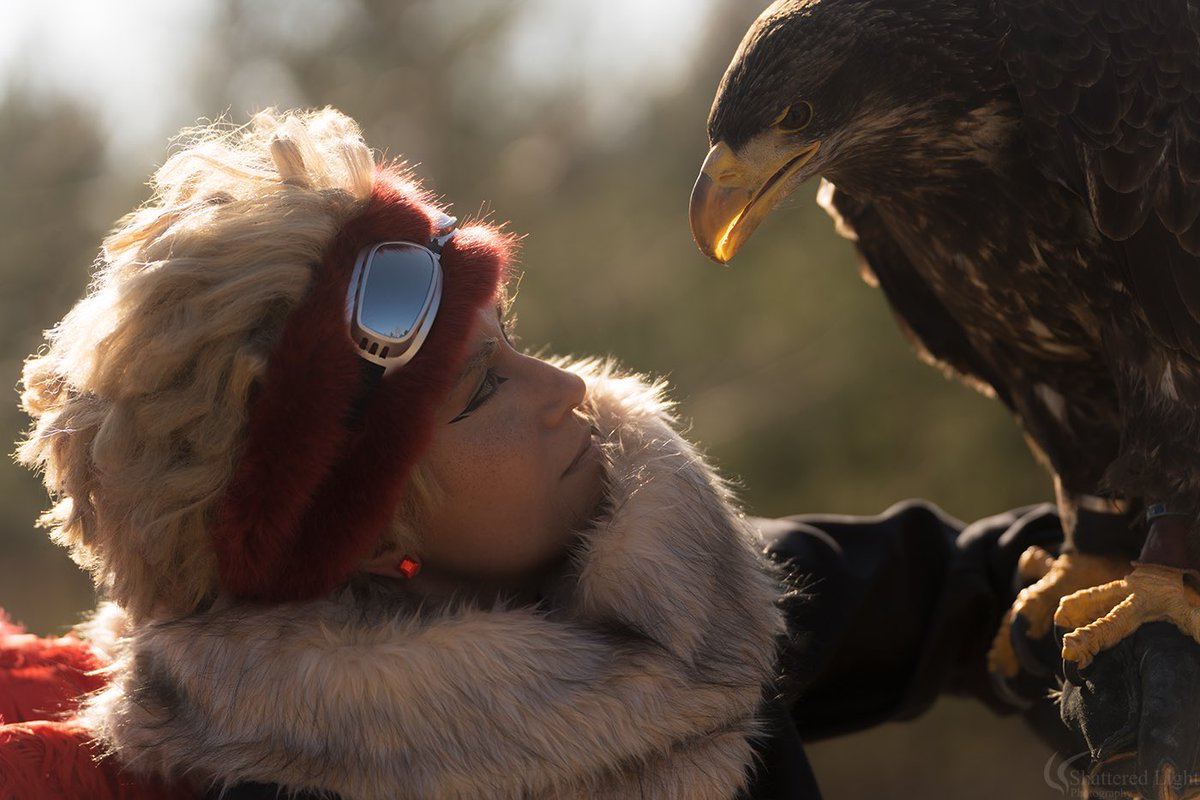 Caydance_'s tweet photo. 🦅 Adler Dame Diana: falknerei.lieberoserheide 
Hawks Cosplay Bnha mha  @caydance_ 
Picture by @ShatteredPhoto https://t.co/6HdmuERgIg
