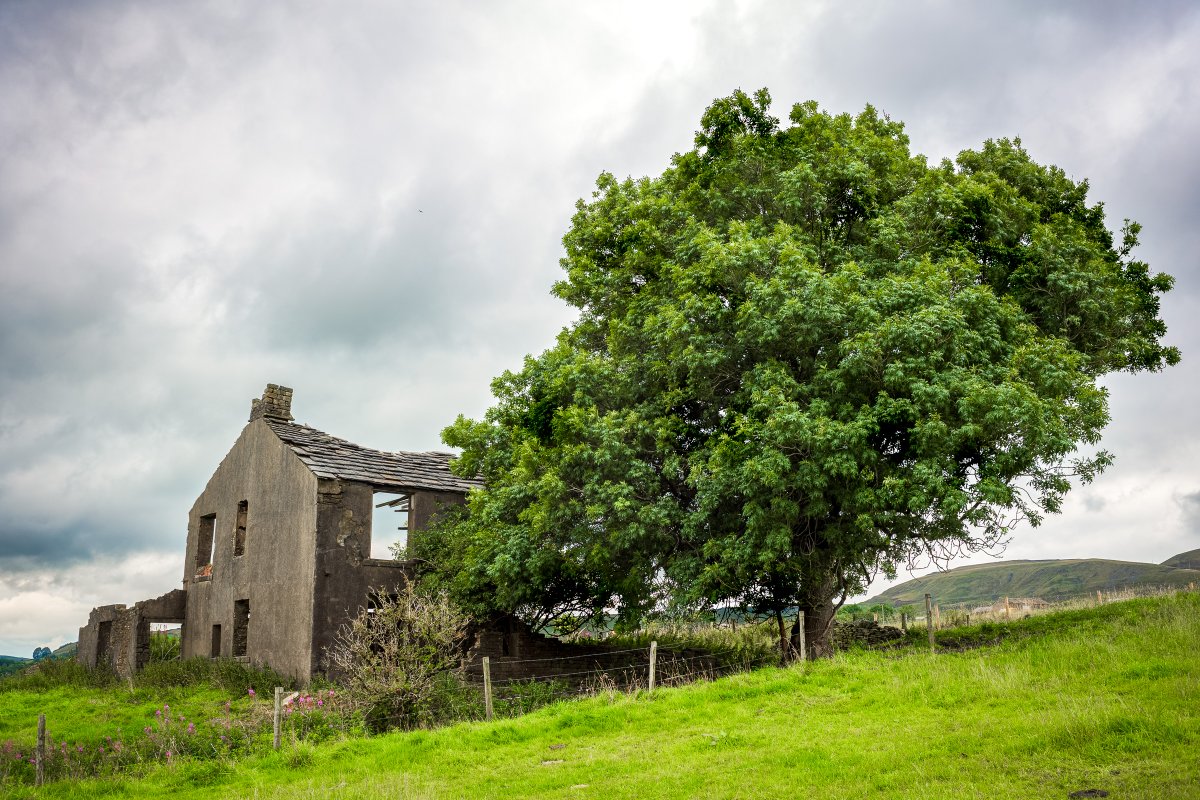 My latest newsletter is out, featuring overgrown Japan, as well as a bit of green, UK decay. There’s also Tokyo and Osaka street photography, plus even some gear talk.

The web version is here: bit.ly/overgrown-stre…

And this is where you can subscribe: tokyotimes.beehiiv.com/subscribe