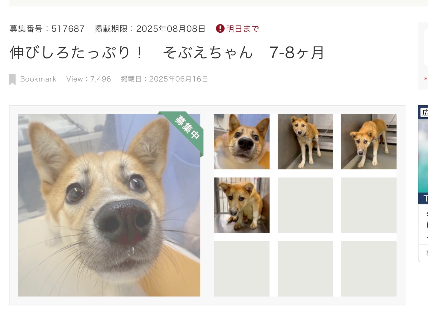 黒猫にゃーこ🌻🐱74✨ on X: 
