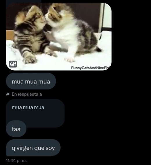 َ (@shuulia) on Twitter photo 