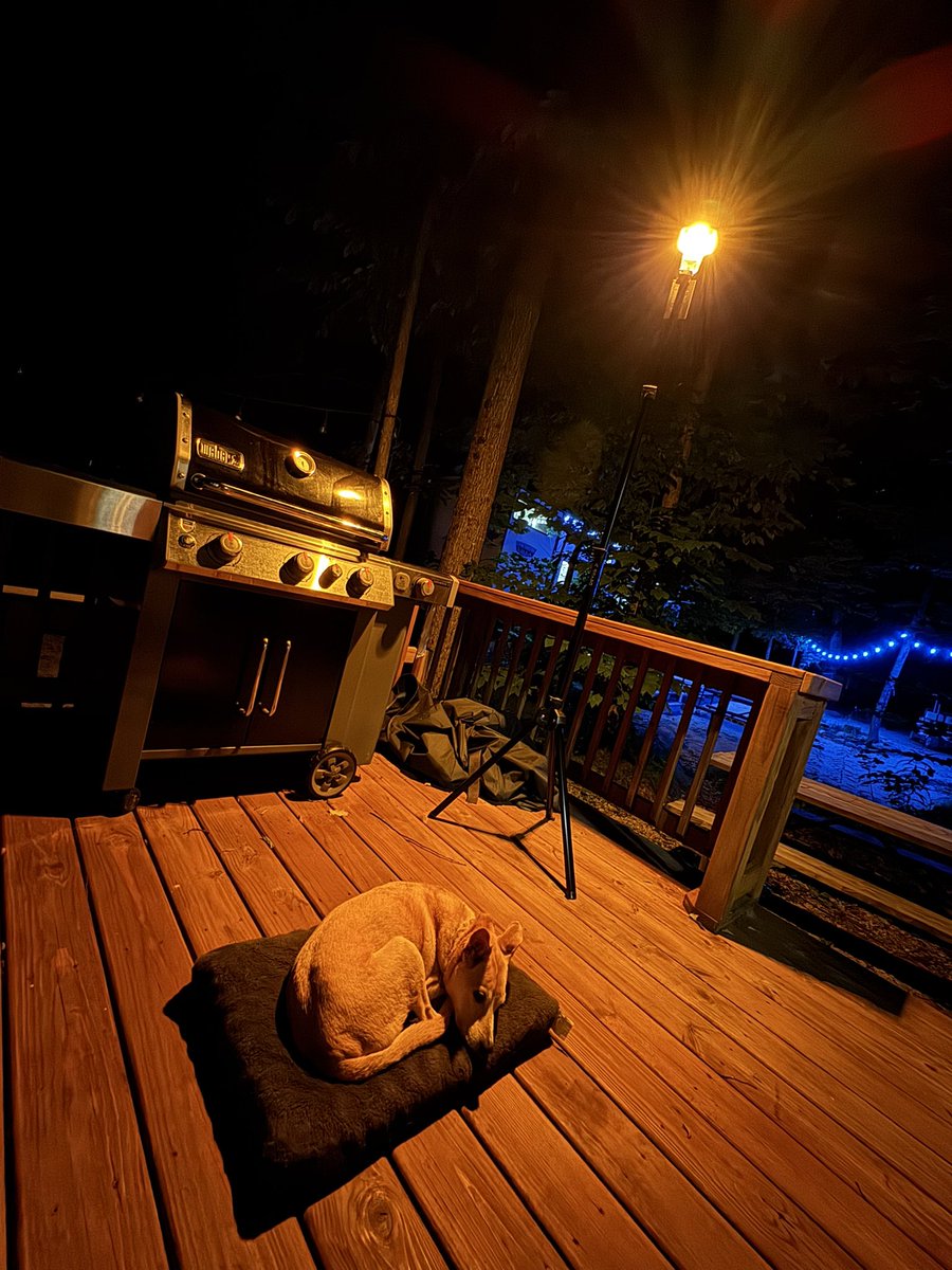 Chilling on the deck with the dog. Love this <a href="/DevosOutdoor/">DevosOutdoor</a> light. Perfect for the evening.
