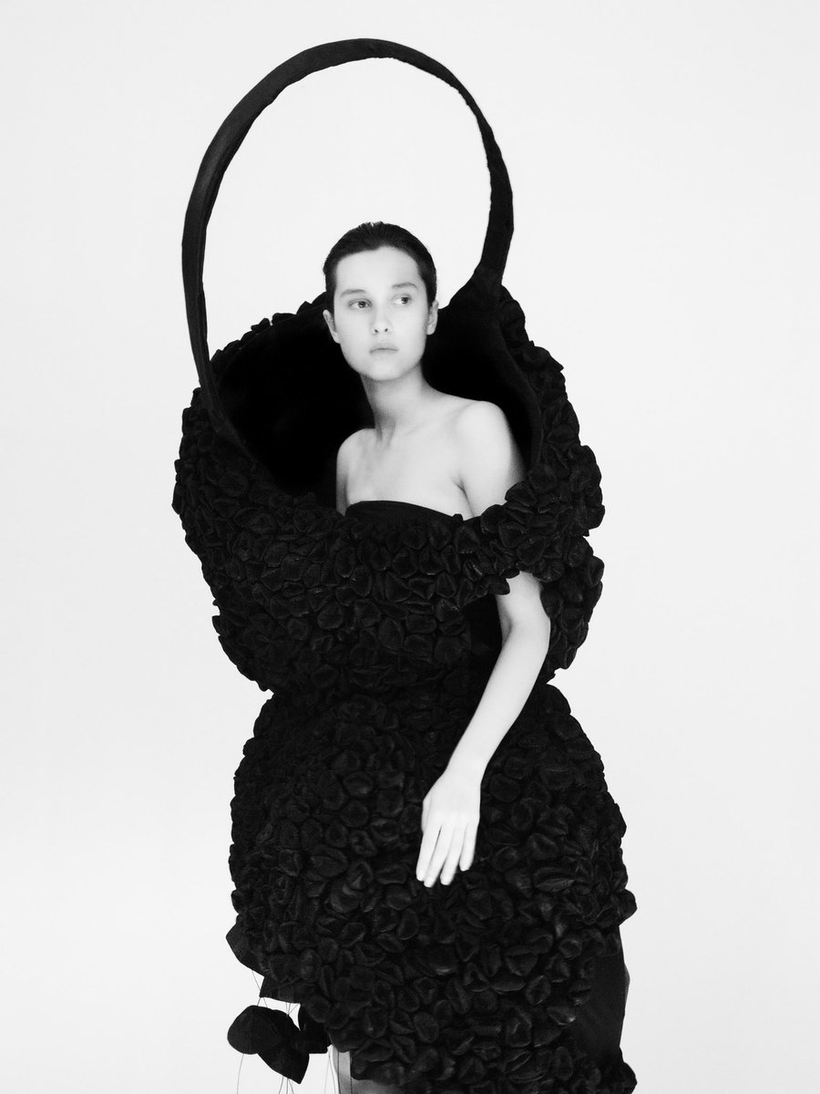 Matthew Pandolfe tweet media