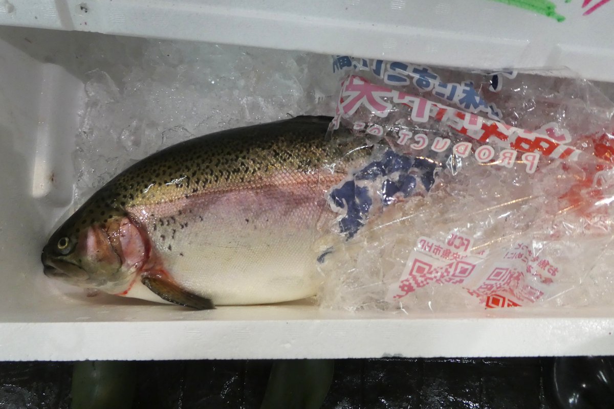 【ニジマス】福井県でふ化した「ふくいサーモン」は、約700gの頃に若狭の海へ移動して、海面養殖場で育ち、4～5月に出荷。海へ移動せず、淡水陸上養殖場で育ったのが、写真の「ふくい名水サーモン」。供給が本格化したのは昨年のことなので、まだ新顔です。刺身やカルパッチョだけでなく、加熱料理も。