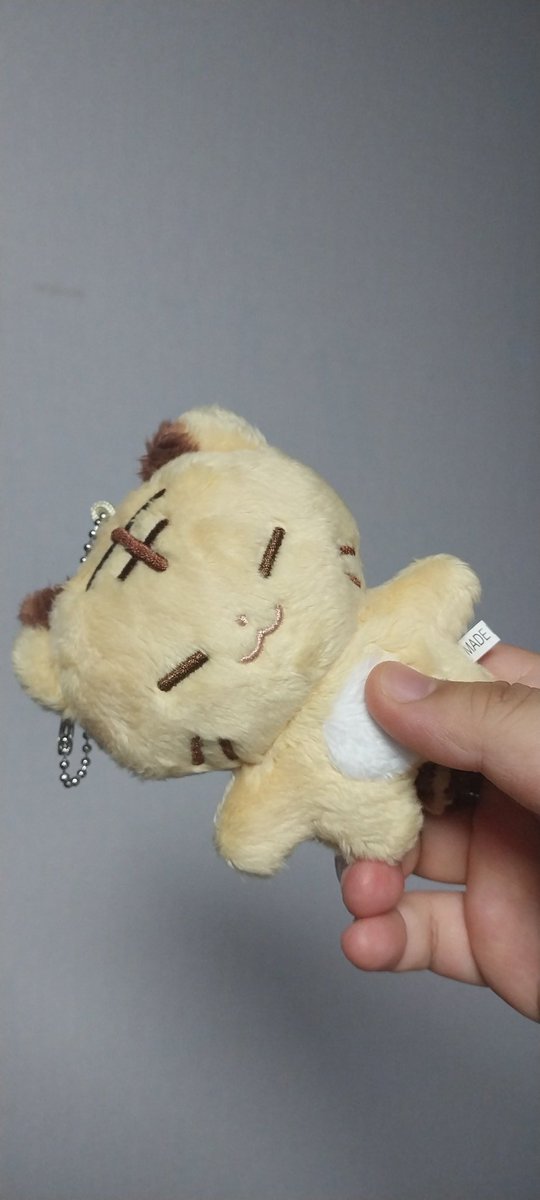 pu08164333's tweet image. 미니해아지! 권범이 무사히 도착