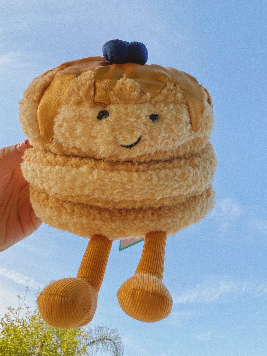 headphxnie's tweet photo. after months of hunting down one of my favorite jellycats, I finally found her!! look how cutie she is 🫐💛 https://t.co/ISFniauZgI