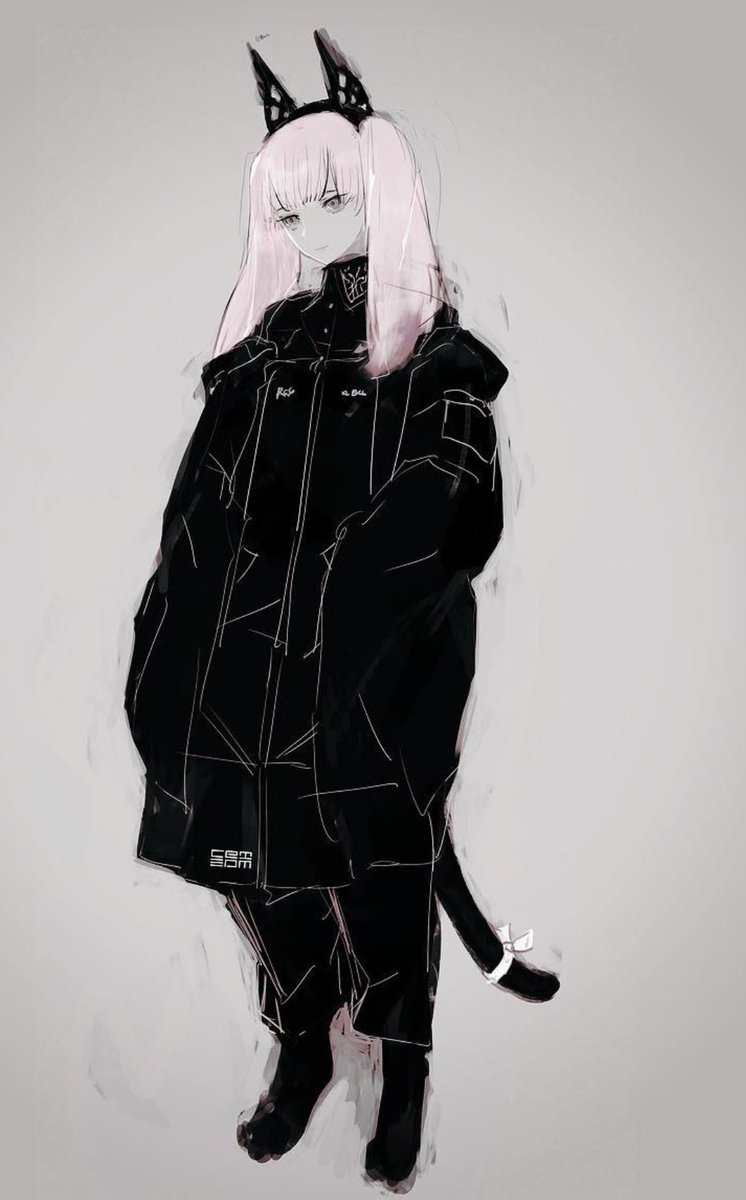 cat tail 2019