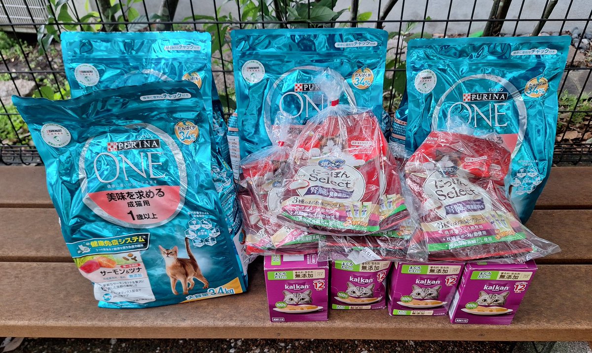 龍脈の精髄 ― クラスター 「聖域を生む結晶の調和」 宮崎県産 保護猫活動支援 GC_iSgxboAAYVi-.jpg