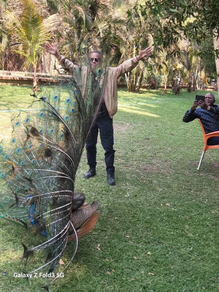 Il faut aimer la nature. One ☝️