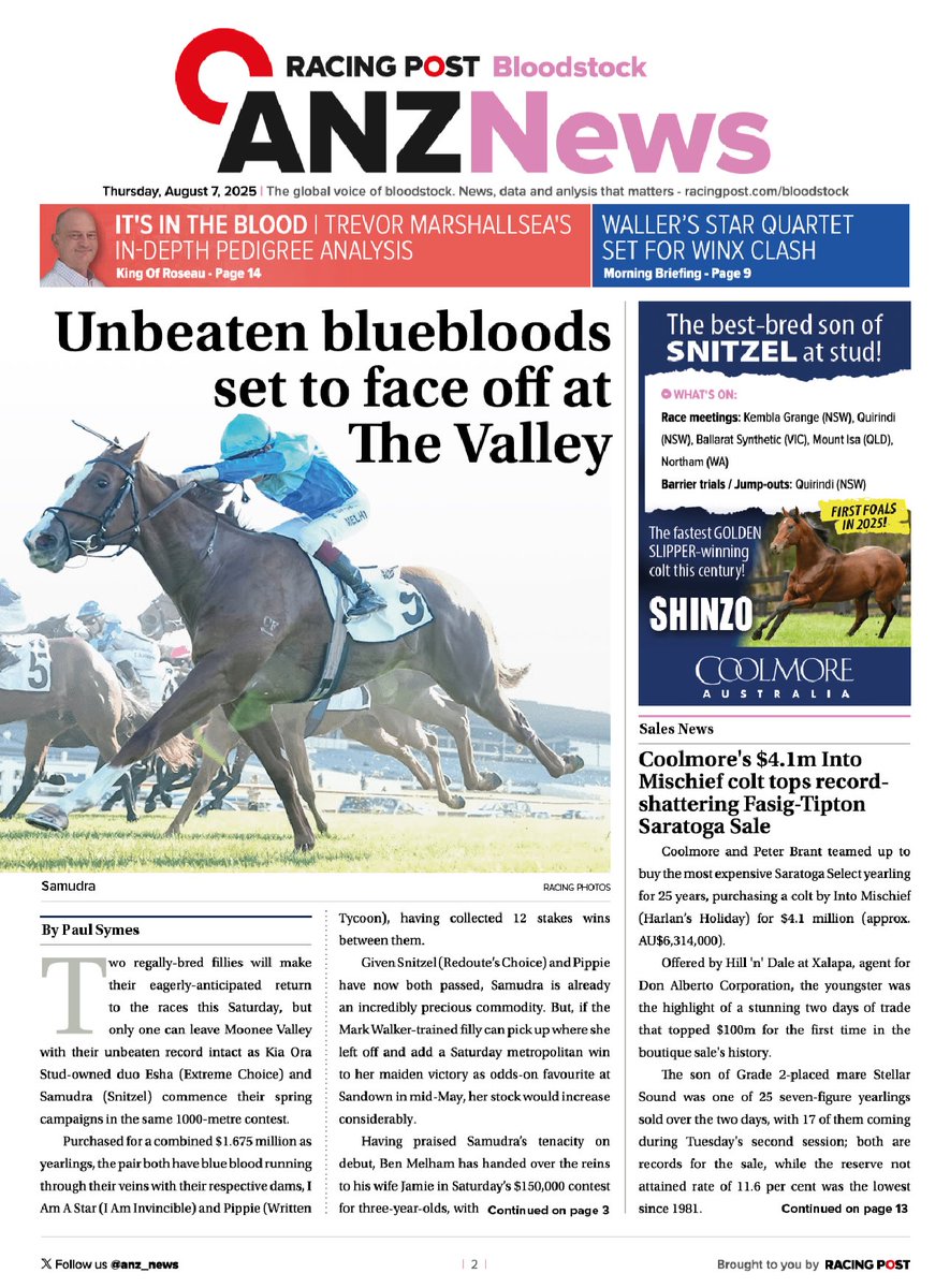 In today’s ANZ News 📮🏇

⭕️ Unbeaten bluebloods set to face off at The Valley 💙

⭕ It’s In The Blood - King Of Roseau 👑

⭕️ Coolmore's $4.1m Into Mischief colt tops record-shattering Fasig-Tipton Saratoga Sale 🤩

Read today’s edition here &gt; anzbloodstocknews.com/editions/2025-…