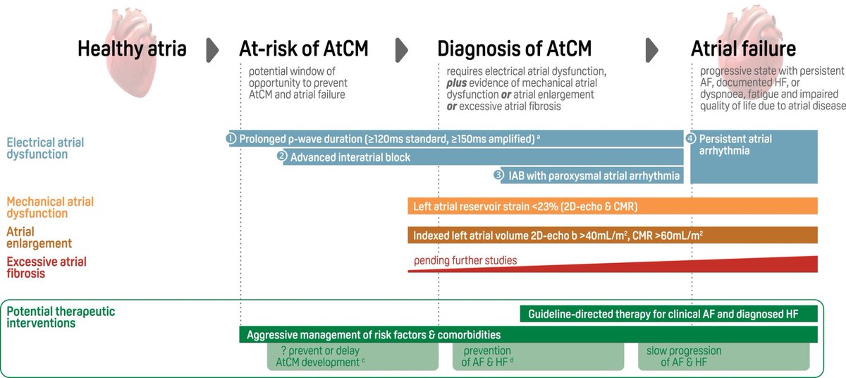 EJHF Editor-in-Chief (@ejhfeic) on Twitter photo Atrial cardiomyopathy: From healthy atria to atrial failure. A clinical consensus statement of the Heart Failure Association of the ESC
onlinelibrary.wiley.com/doi/10.1002/ej… #HFA <a href="/ESC_Journals/">European Society of Cardiology Journals</a>
<a href="/HanCardiomd/">Henry Han</a> <a href="/AmrAbdin10/">Amr Abdin</a> <a href="/GiuseppeGalati_/">Giuseppe Galati</a> Atrial cardiomyopathy: From healthy atria to atrial failure. A clinical consensus statement of the Heart Failure Association of the ESC
onlinelibrary.wiley.com/doi/10.1002/ej… #HFA <a href="/ESC_Journals/">European Society of Cardiology Journals</a>
<a href="/HanCardiomd/">Henry Han</a> <a href="/AmrAbdin10/">Amr Abdin</a> <a href="/GiuseppeGalati_/">Giuseppe Galati</a>