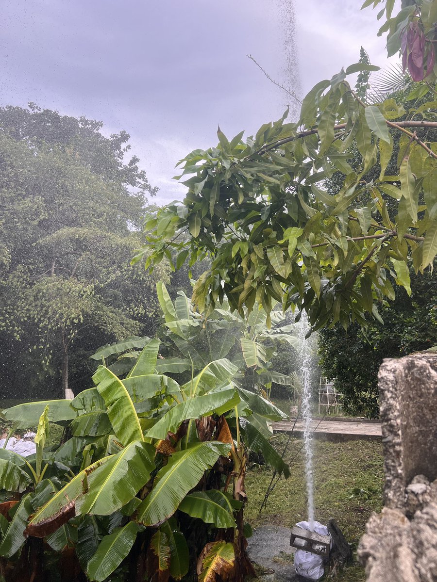 brosnan77's tweet photo. @IDAANinforma @AlvaroAlvaradoC  tubería de agua potable rota en el área de Condado del Rey, en el área de la servidumbre del río Abajo; para que el @IDAANinforma pueda reparar esto, lleva varios días botando agua constantemente. https://t.co/Z7XWY4ytYs