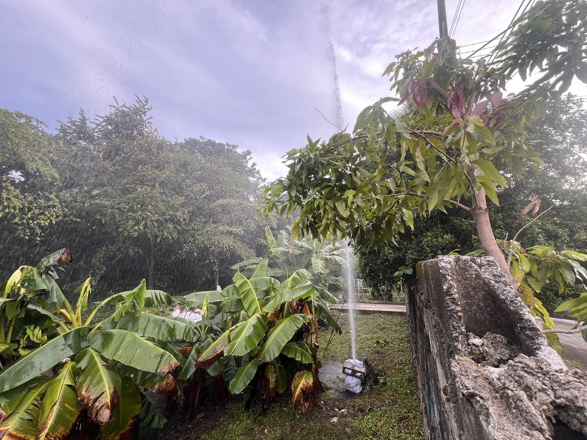 brosnan77's tweet photo. @IDAANinforma @AlvaroAlvaradoC  tubería de agua potable rota en el área de Condado del Rey, en el área de la servidumbre del río Abajo; para que el @IDAANinforma pueda reparar esto, lleva varios días botando agua constantemente. https://t.co/Z7XWY4ytYs