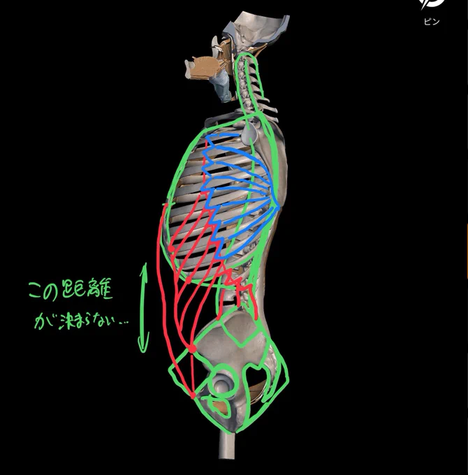 最近の悩み