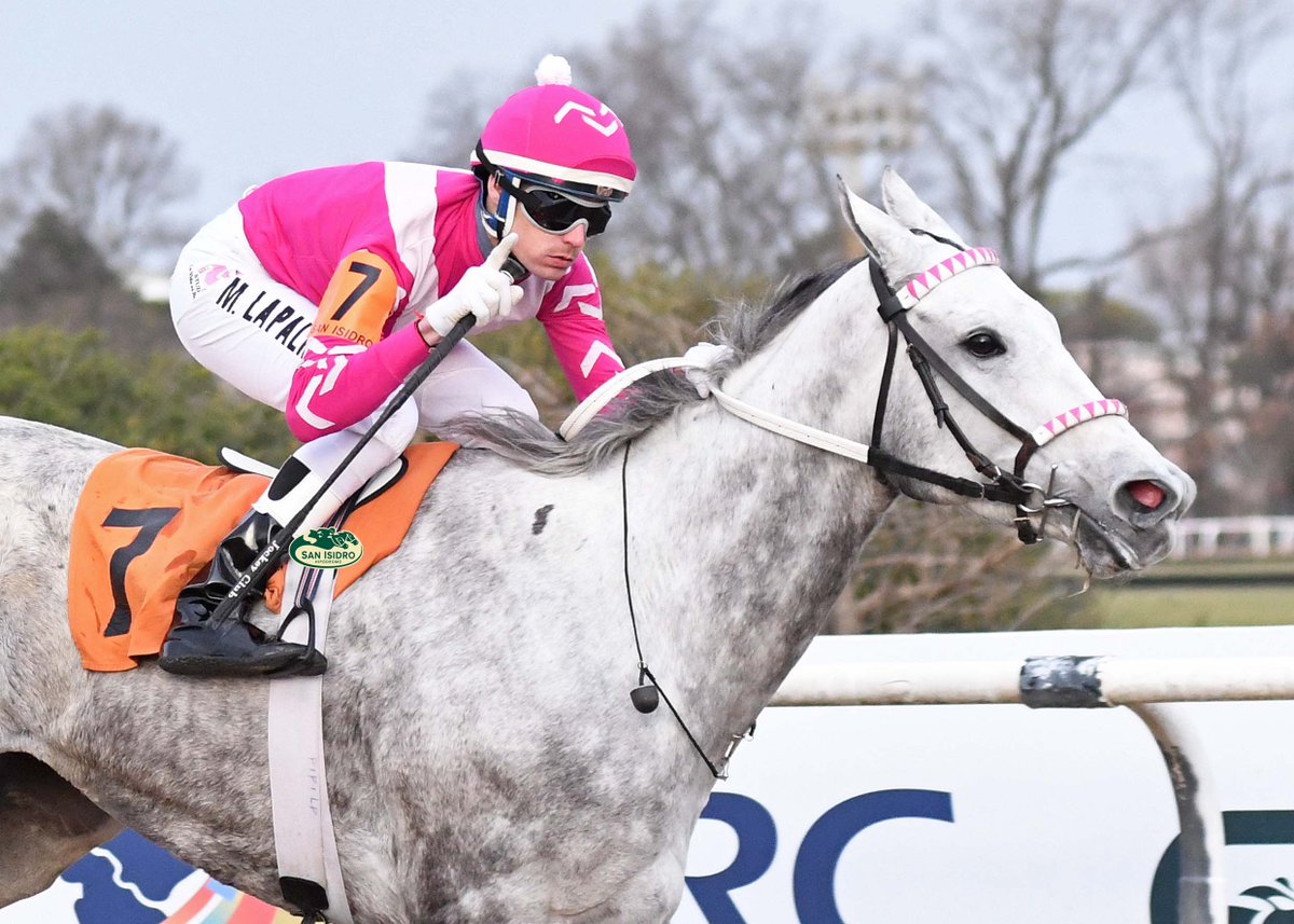 ✅ Las doce pruebas del miércoles 6 dejaron una recaudación de $403.172.253.-, con un promedio por carrera de $33.597.687.-