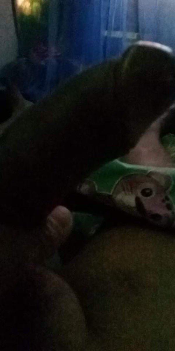 Double X tweet media