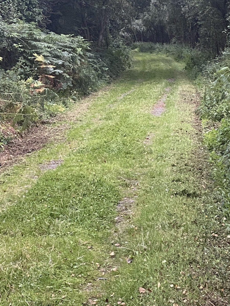 IrelandTrails's tweet photo. Lake and trail maintenance - Derryounce Portarlington Offaly. #getoutmore https://t.co/hePBeA9hSy
