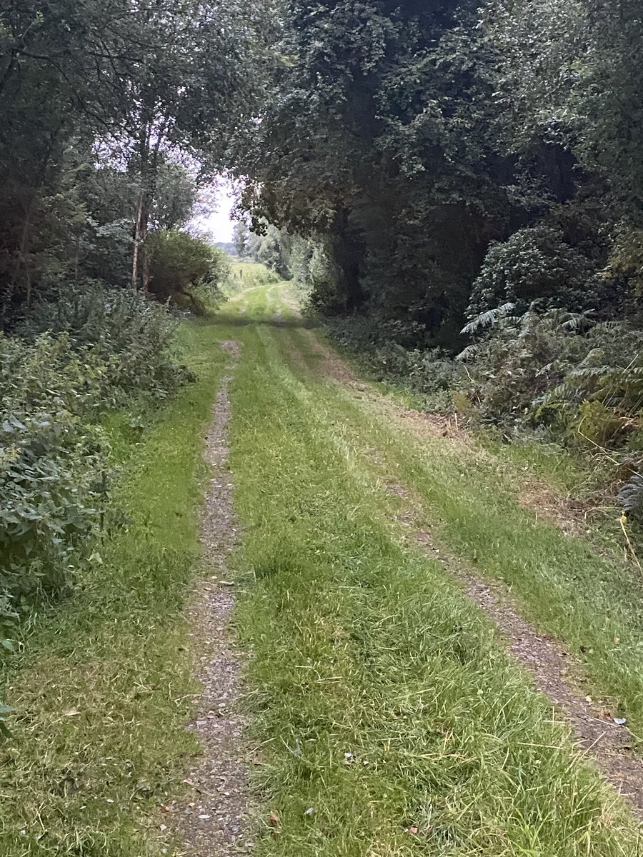IrelandTrails's tweet photo. Lake and trail maintenance - Derryounce Portarlington Offaly. #getoutmore https://t.co/hePBeA9hSy