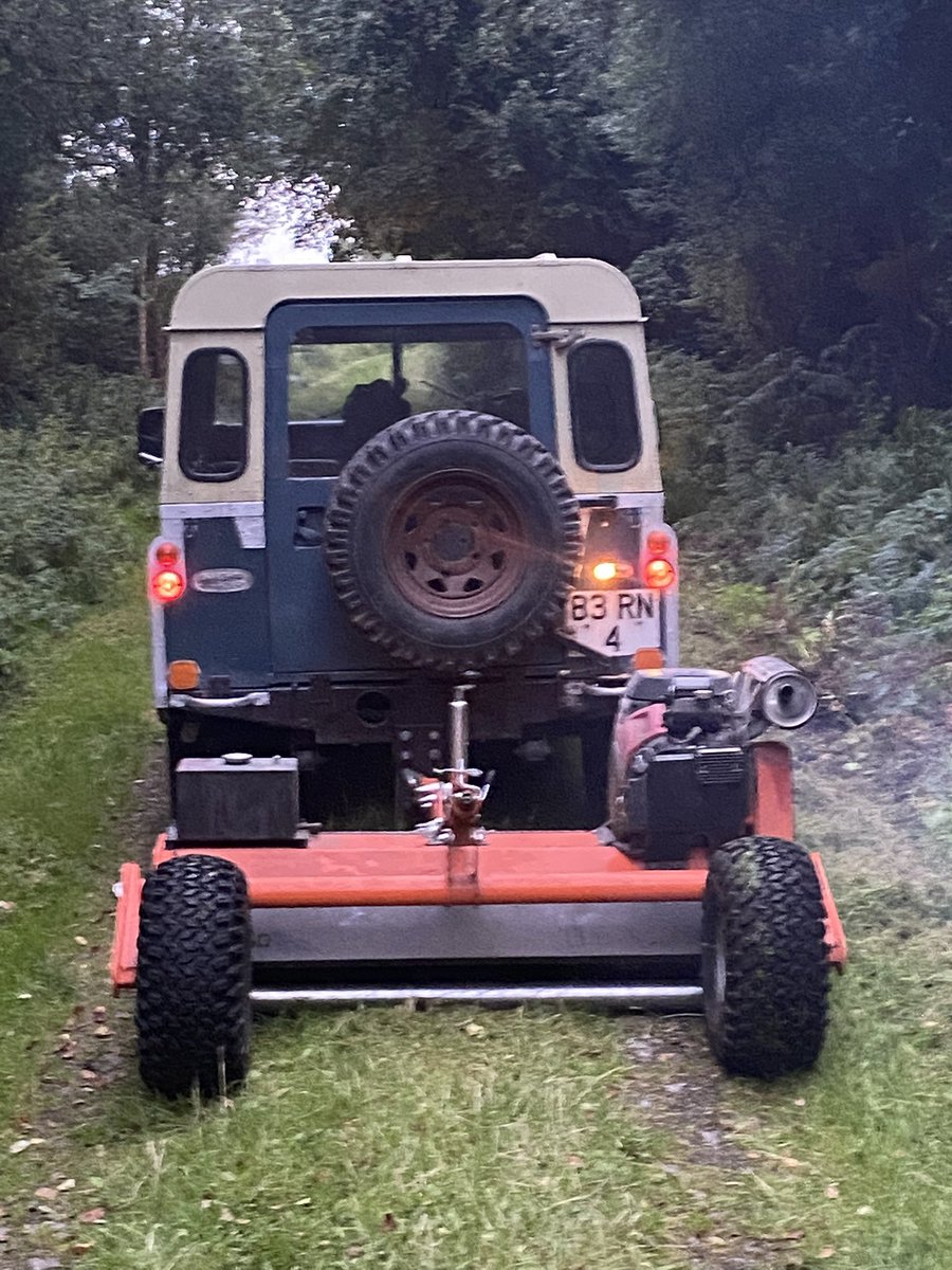 IrelandTrails's tweet photo. Lake and trail maintenance - Derryounce Portarlington Offaly. #getoutmore https://t.co/hePBeA9hSy