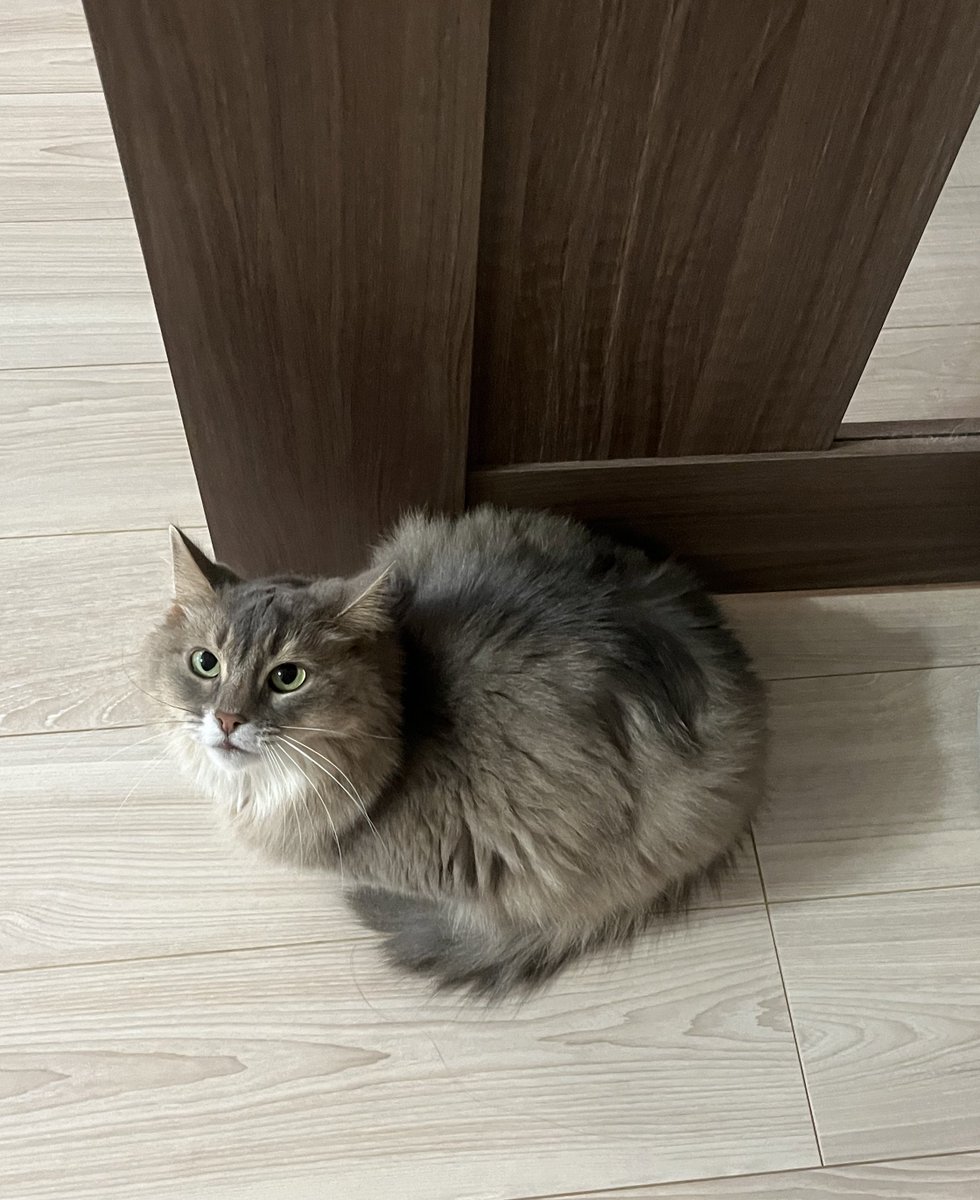 ちんまり