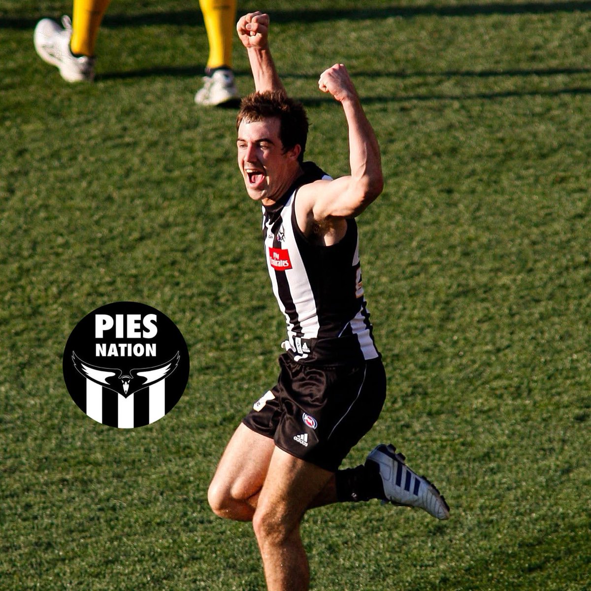 PiesNation tweet media
