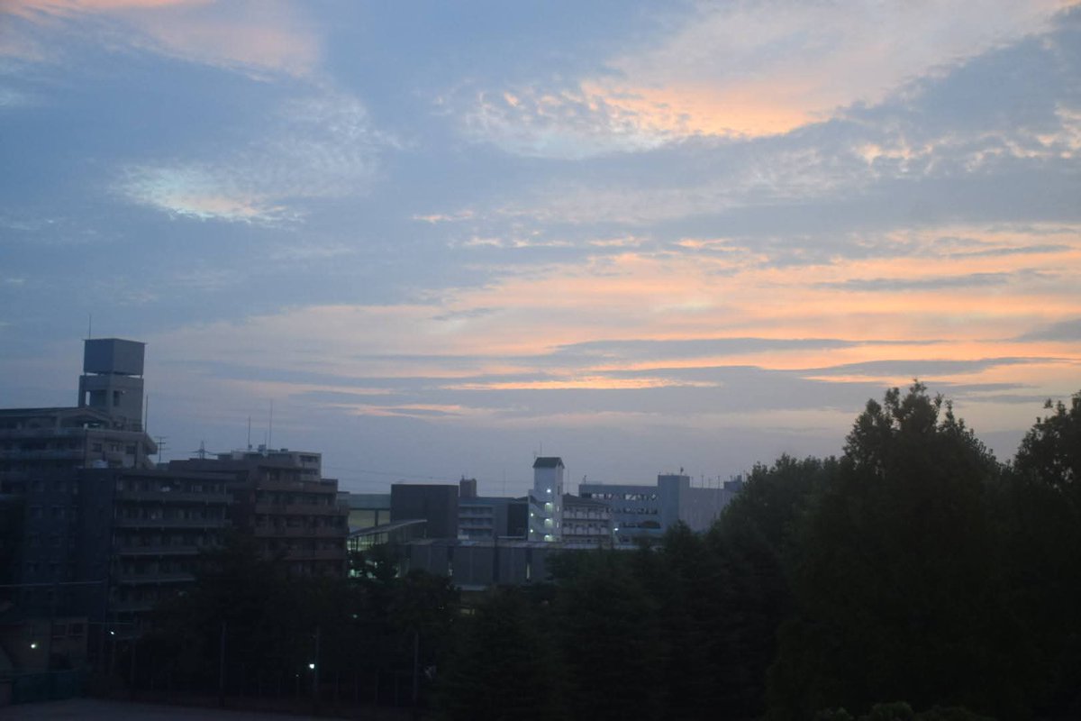 AoiBigbear's tweet photo. おはようございます。🎐🐻
木曜日、今朝の都内下町のお空。
少し曇がかりも、お日様登場!🌄😆
朝からかなりの蒸し暑��です… https://t.co/7pPwtlfL6Q