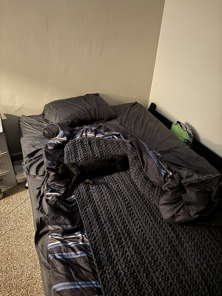 Luke Marble tweet media