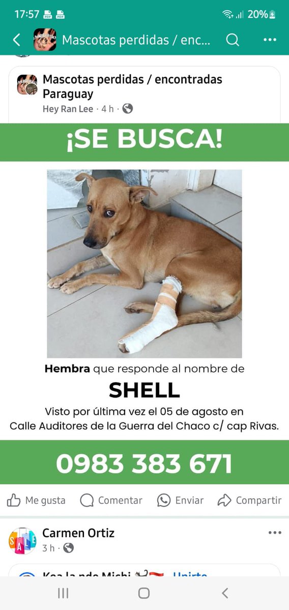 Atención barrio Mburucuya‼️ Se busca ‼️ ayuda con RP 🙏